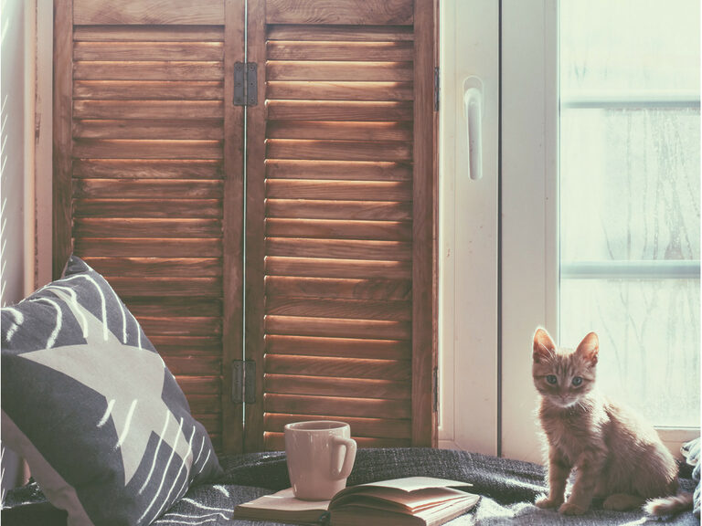 opter pour un verre énergétique ou pas vitrerie Ménard